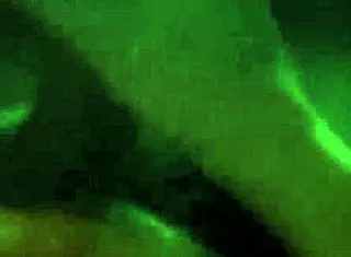 home solo masturbation with cumshot