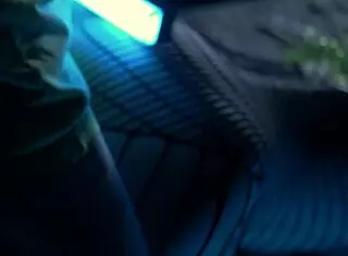 catwomans depraved night adventure with fishnets and blowjob