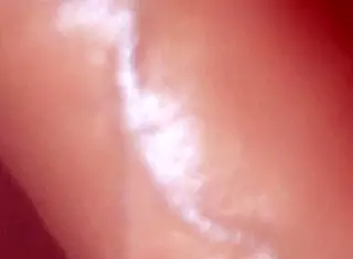 Young Stepmom Blowjob Close-Up