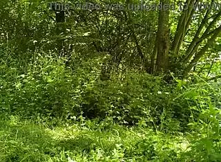 Sexy fat milf strips panties and pisses outdoors with a stranger