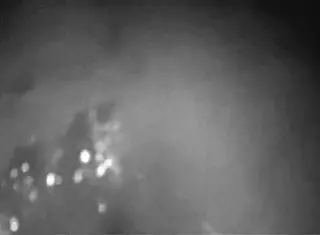 Amateur Anal Exploration