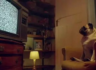 Benefit Monkey Amy Douxxx Teaser On The Couch