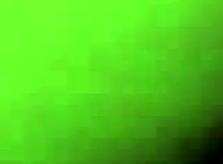 black cock video from february 2018