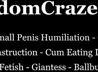 Taking on a Full-Time Role in a Challenging Position