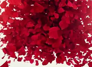 Reina Pornero in steamy sexual shower! So hot!