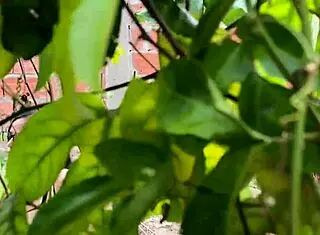 เกือบโดนจับได้ตอนเสียวกับลูกพี่ลูกน้อง!