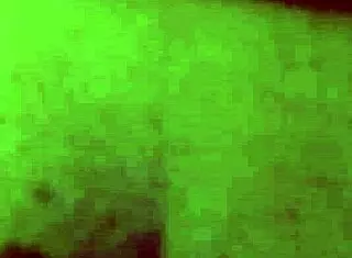 Gordinha casada de arujá receives creampie facial.