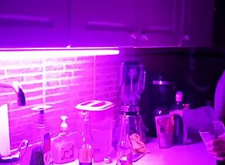 the beautiful yaira and her girlfriend spend the night at home 😘