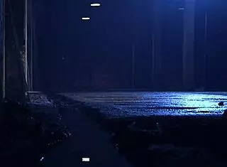 Two Bros Dealing With Cheating Girlfriend