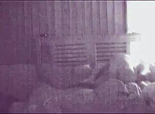 This amateur couple is making love loudly