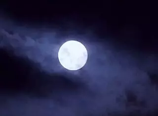 Two Bros Dealing With Cheating Girlfriend