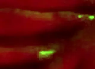 the beautiful yaira and her girlfriend spend the night at home 😘