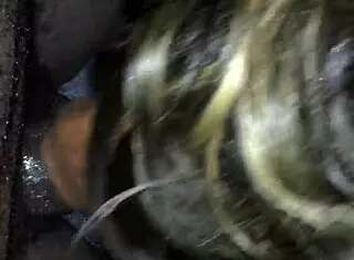 Her Wet Mouth Sucks The Black Cock During The Game