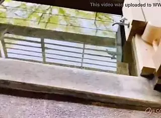 exploring tochigi's strawberries and hot springs with nacchi travel brings joy