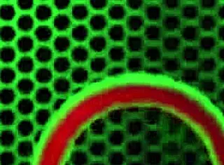 Charlee Chase Provoca en Lencería Sexy de Red de Pescado Solo