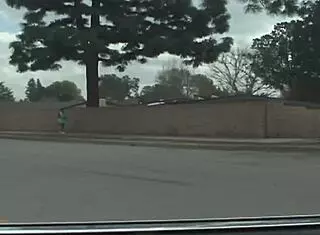 Slender Pigtails Teen 18+ Fucks Stranger in Doggystyle and Loves Monster Cock