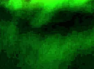 Amateur Ebony Sucking Dick