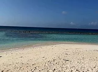 i pissd on a girl on the public beach, she was shockd