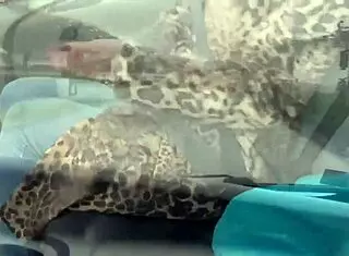 Intense Unexpected Sex In The Woods