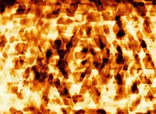 Fucking her busty ass for the first time 😍