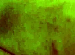 Ebony amateurs enjoy ffm threesome deepthroat rough sex