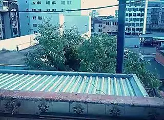 Outdoor balcony scene with MILF and big cock