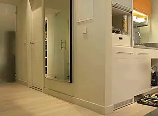 Dominica Phoenix gets anal creampie