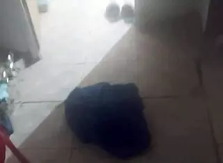 caught my boyfriend fucking bianca brito?