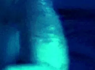 The best oral experience ever