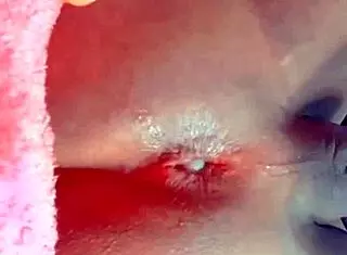 I love this sweet trans ass getting fucked with dildo and toys, oh my god it's so hot.