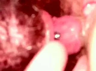 thirdghost1 licks her pussy so good, what a muff dive