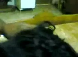 i can't get enough of this round ass in webcam blowjob