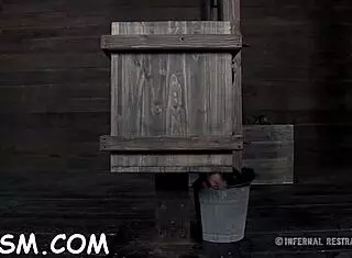 Free Sadomasochism Stories With Oral Sucking And Rough Spanking!