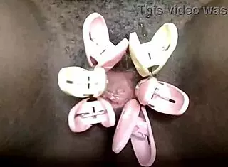 Cyndy blackslave webcam pussy closeup with clamps 😈