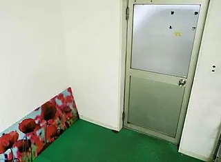 Aoyama Hana in the Special Edition of the Last Good Woman of Heisei. Featuring her beauty and charm in a Japanese setting