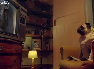 Candee Licious and Lili Charmelle engage in wild threesome with toys and oral