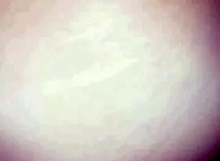 latina bent over in doggy anal sex