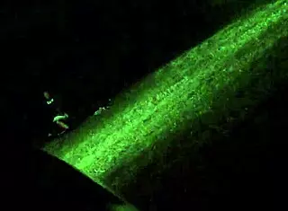 Heartbreaking Moment Spying On Wife Cheating