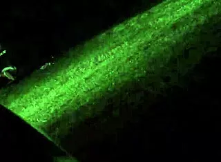 Heartbreaking Moment Spying On Wife Cheating