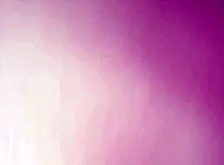 intense homemade ass fucking in a hotel motel room