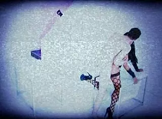 The Babe Sets Honey Trap With Her Dangerous Pussy For Cumshot