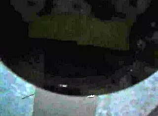 intense homemade ass fucking in a hotel motel room