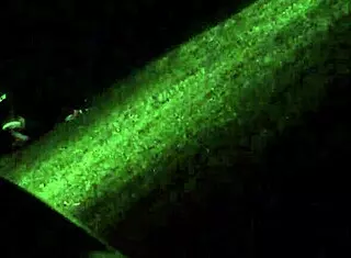 Heartbreaking Moment Spying On Wife Cheating