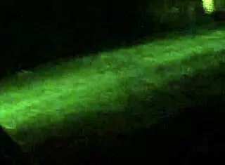 Heartbreaking Moment Spying On Wife Cheating