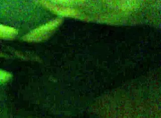 Fat Booty Shaking in Amateur Video