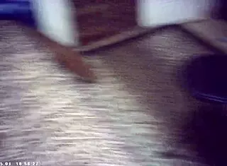 Candice cumm feels the italian pound machine backstage