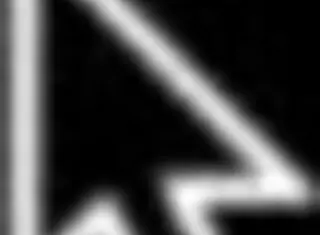 Battle Brothel Companion!