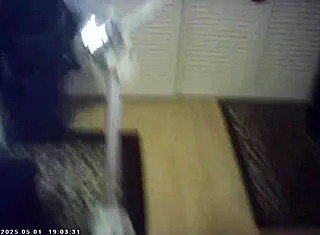 Candice cumm feels the italian pound machine backstage