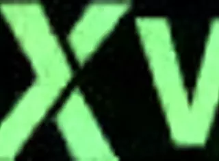 A Date In The Life Of An Amateur