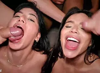 mis chicos querían follar y llamé a prostitutas para una orgía salvaje.